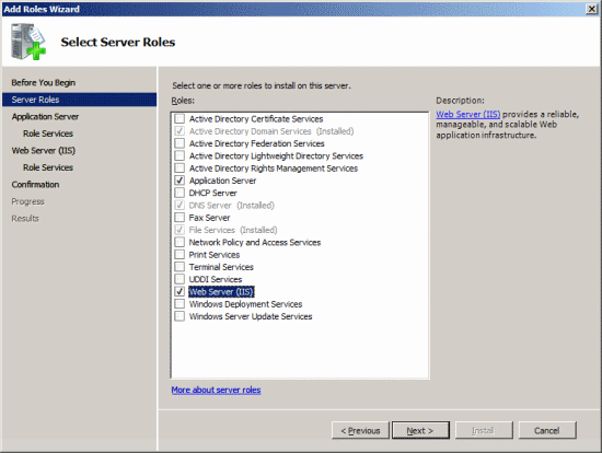 Add Roles Wizard - Select Server Roles