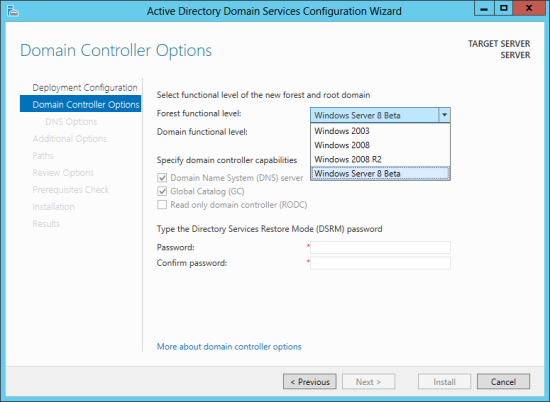 Active Directory Domain Services Configuration Wizard - Domain Controller Options