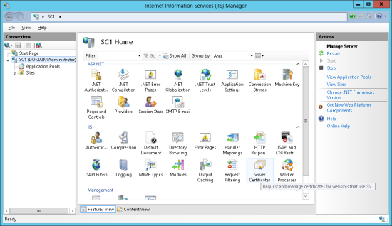 Internet Information Serices (IIS) Manager