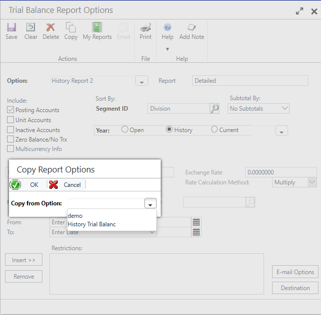 Trial Balance Report Options window showing copy